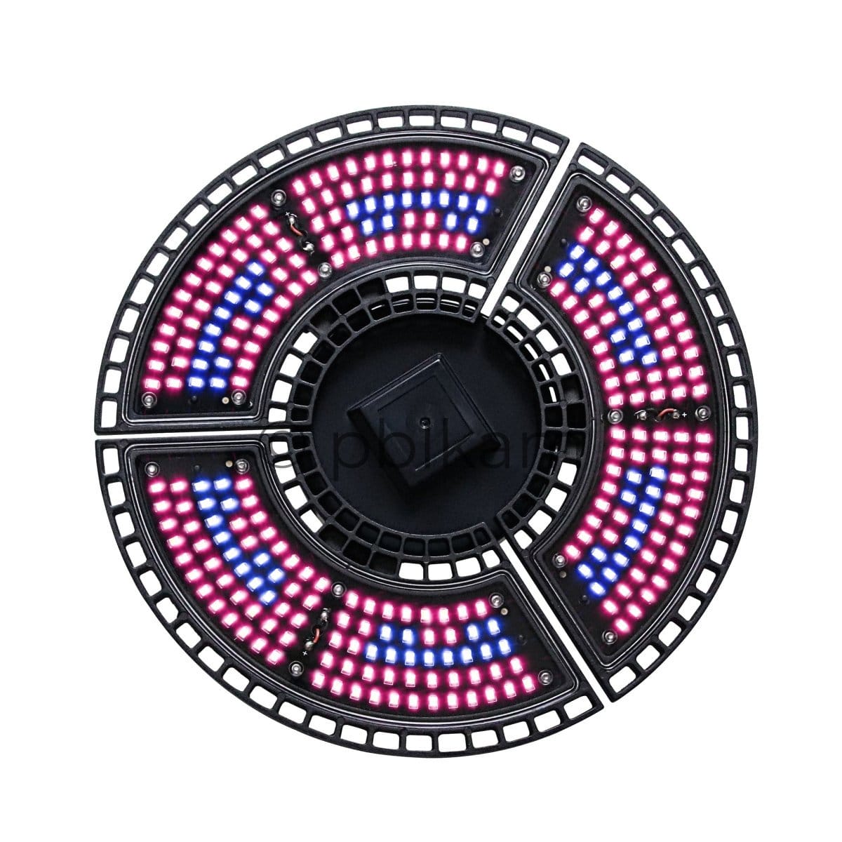 Full Spectrum vs Red/Blue LED: Which is Better for Your Plants? - Ricon Lighting