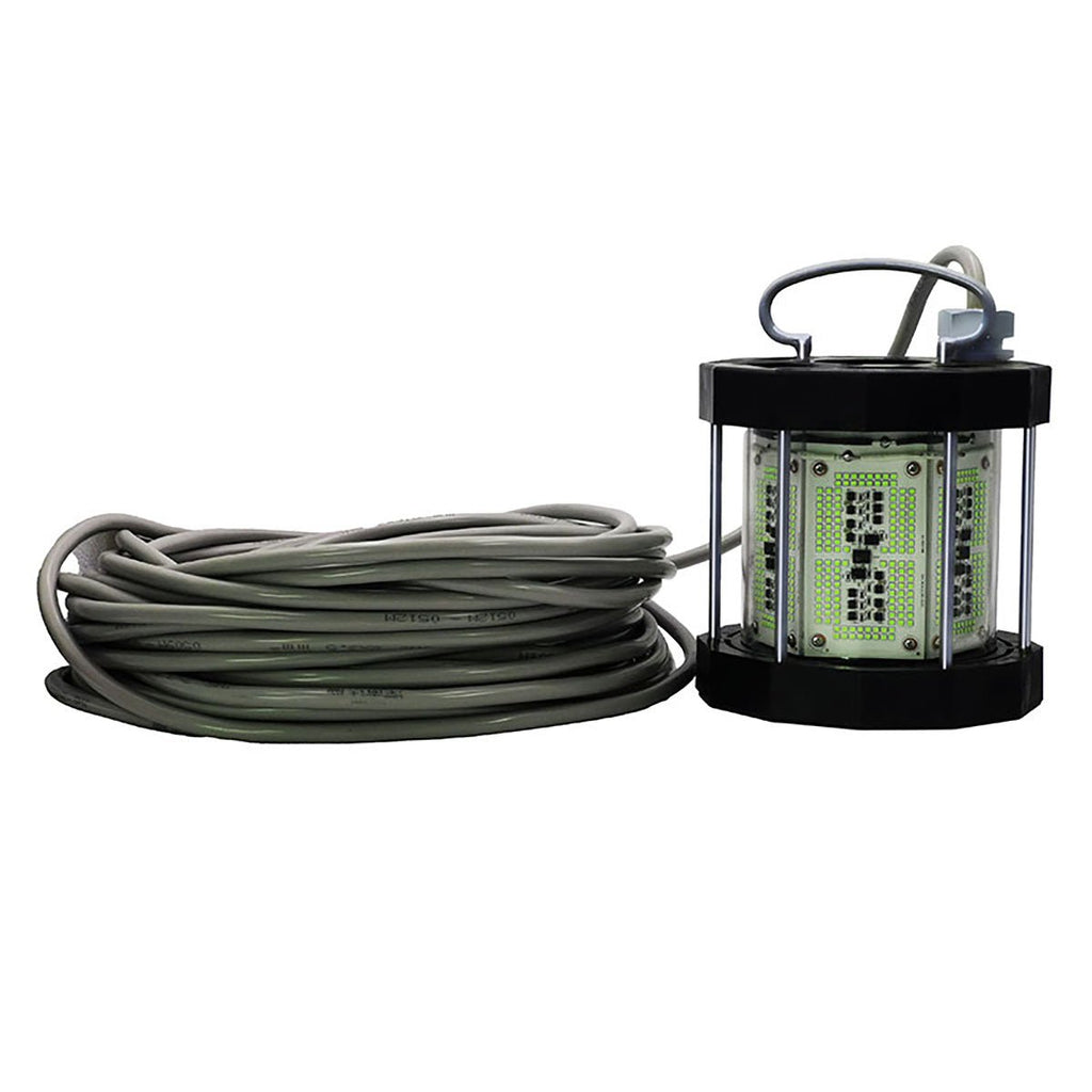 IP68 Underwater LED Fishing Light 1000 - 5000W | High Power Fish Attractor - Ricon Lighting