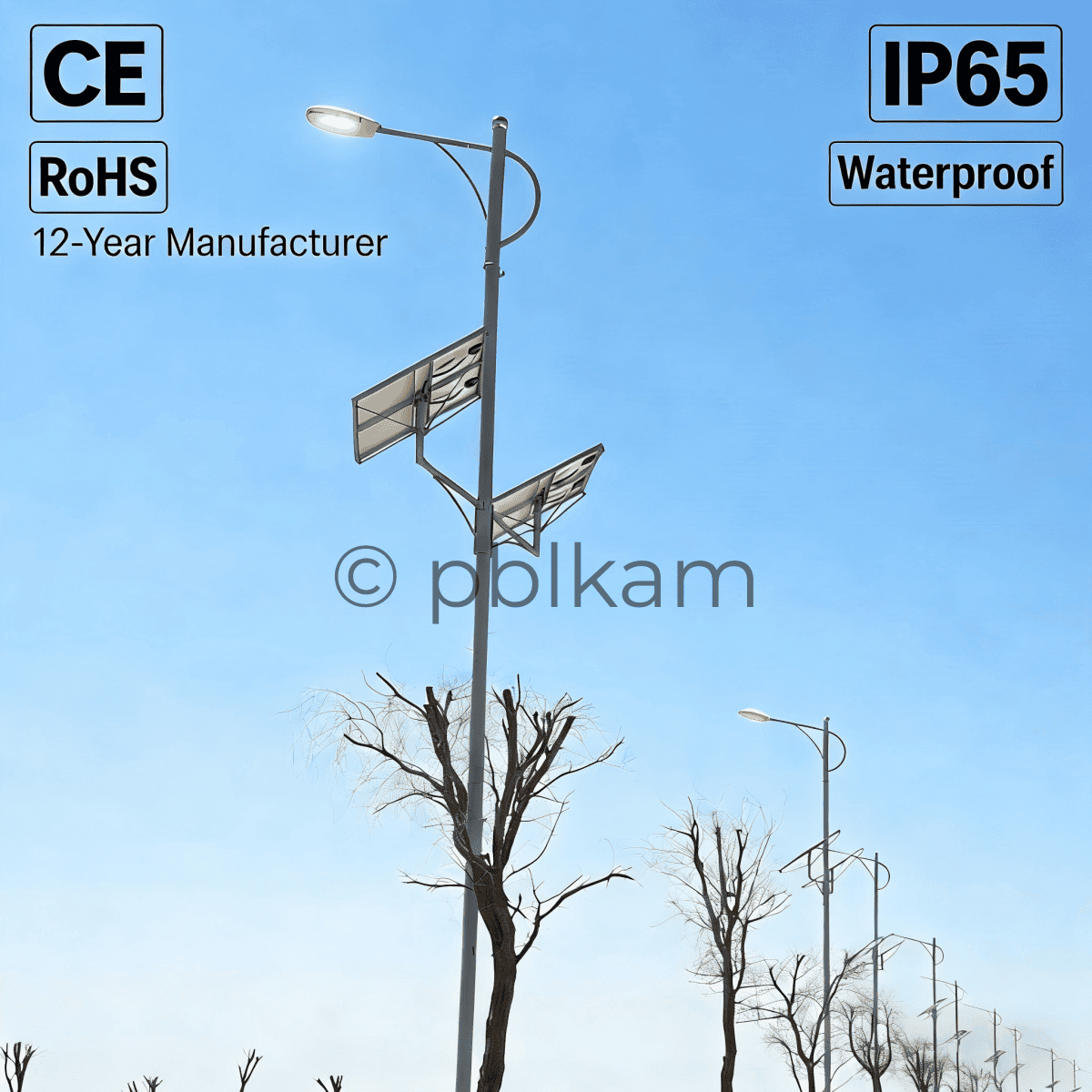 200W Split Solar Street Light | LED Outdoor Project Light - Ricon Lighting