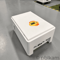 10kWh lithium LiFePO4 Battery Pack - Ricon Lighting