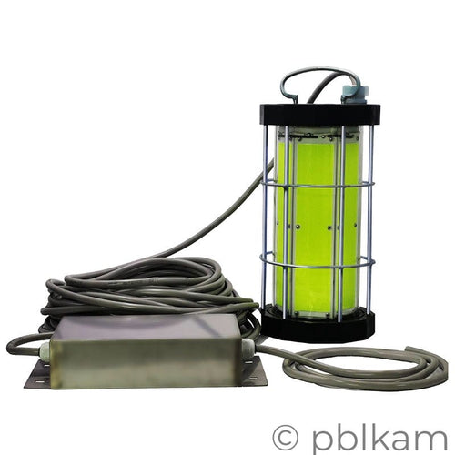 AC Submersible LED Fishing Light COB | High Power 2000W - 4000W - Ricon Lighting