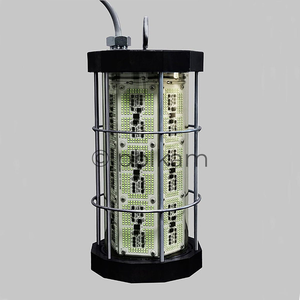IP68 Underwater LED Fishing Light 1000 - 5000W | High Power Fish Attractor - Ricon Lighting