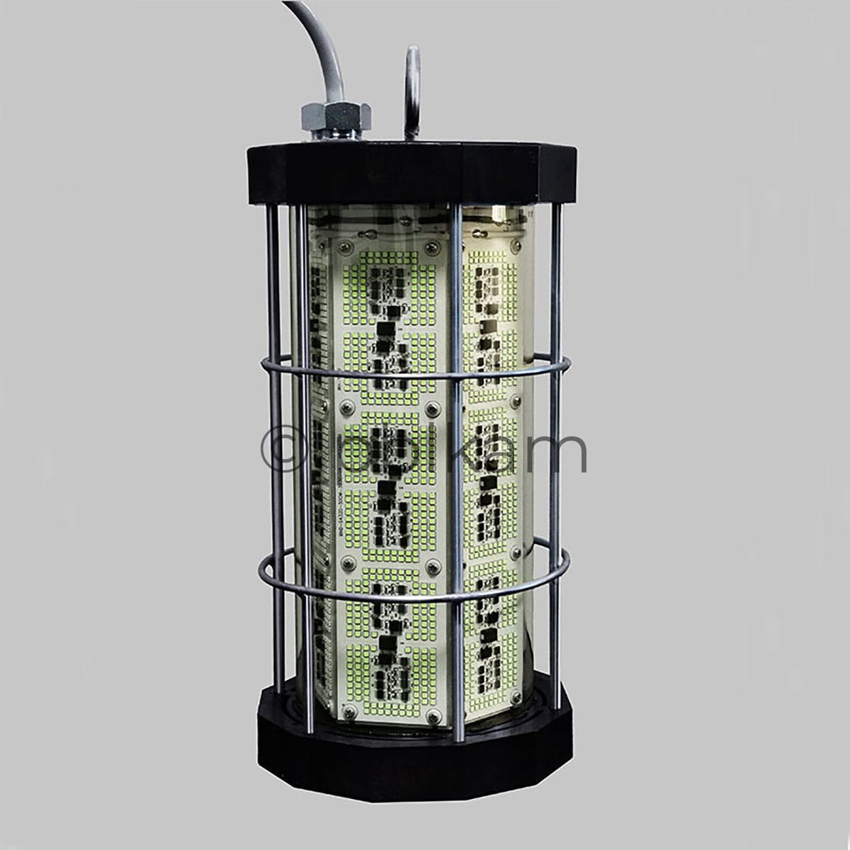 IP68 Underwater LED Fishing Light 1000 - 5000W | High Power Fish Attractor - Ricon Lighting