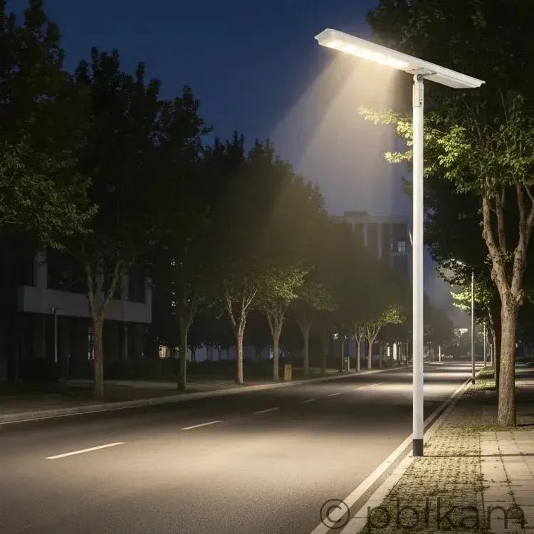 TR248 Integrated Solar Street Light - Ricon Lighting