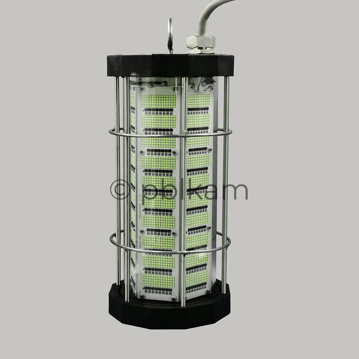 IP68 Underwater LED Fishing Light 1000 - 5000W | High Power Fish Attractor - Ricon Lighting