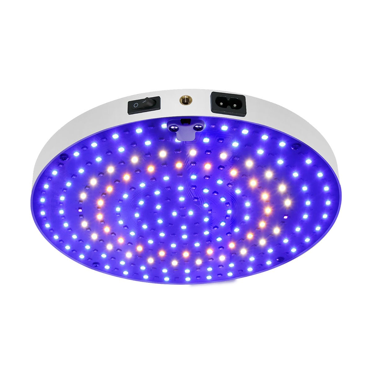 LED Hanging Grow Light | Indoor Plants & Grow Tents - Ricon Lighting