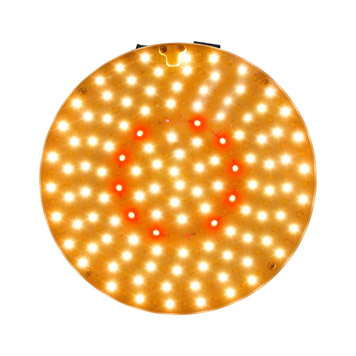 LED Tripod Floor Grow Light Adjustable Height Full Spectrum Sunlight for Indoor Plants - Ricon Lighting