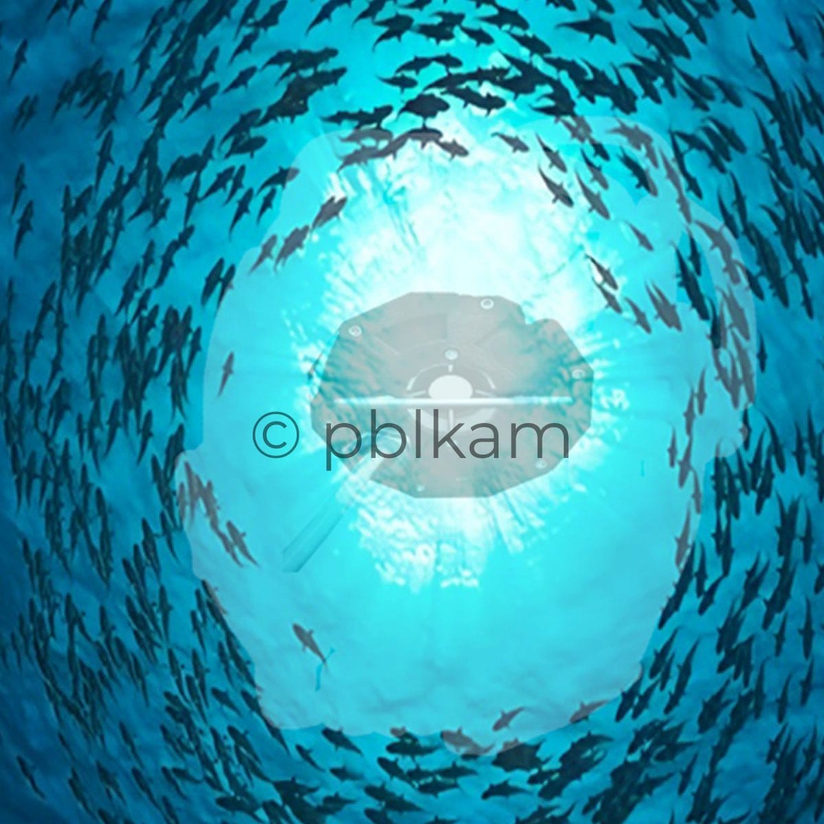 IP68 Underwater LED Fishing Light 1000 - 5000W | High Power Fish Attractor - Ricon Lighting