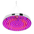 LED Hanging Circular Grow Light | Indoor Plants & Grow Tents - Ricon Lighting