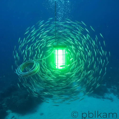 AC Submersible LED Fishing Light COB | High Power 2000W - 4000W - Ricon Lighting