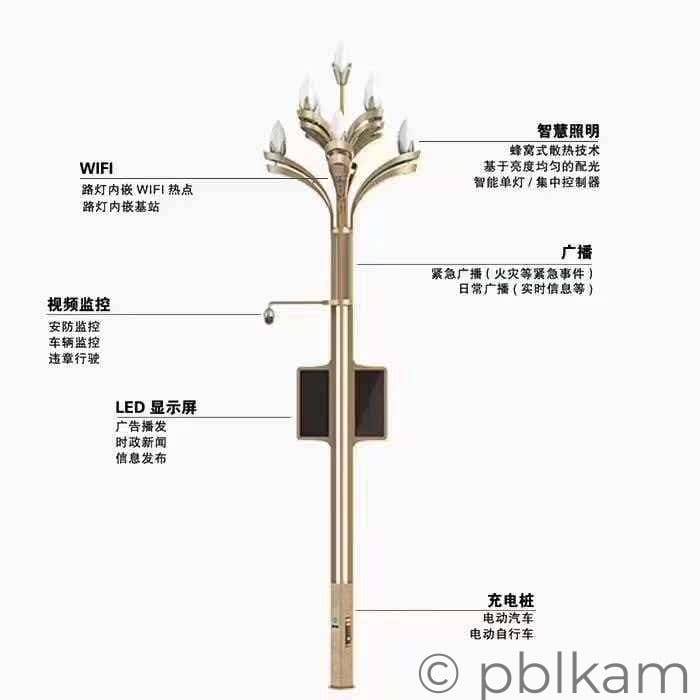 Ricon Smart Street Light Pole - Ricon Lighting