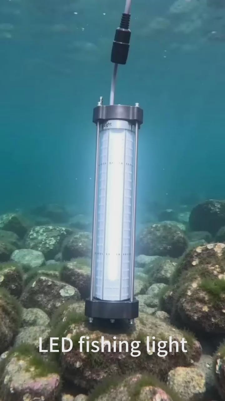 DC Submersible LED Fishing Light 24V | IP68 Underwater Fish Attractor